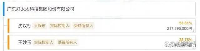 、净利下滑旗下电动晾衣机曾抽查不合格马竞合作伙伴好太太去年前三季度营收(图11)