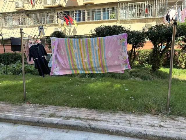 向心力提升居民幸福感k8凯发网站文明凝聚
